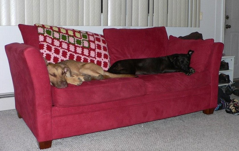 Endings & Beginnings