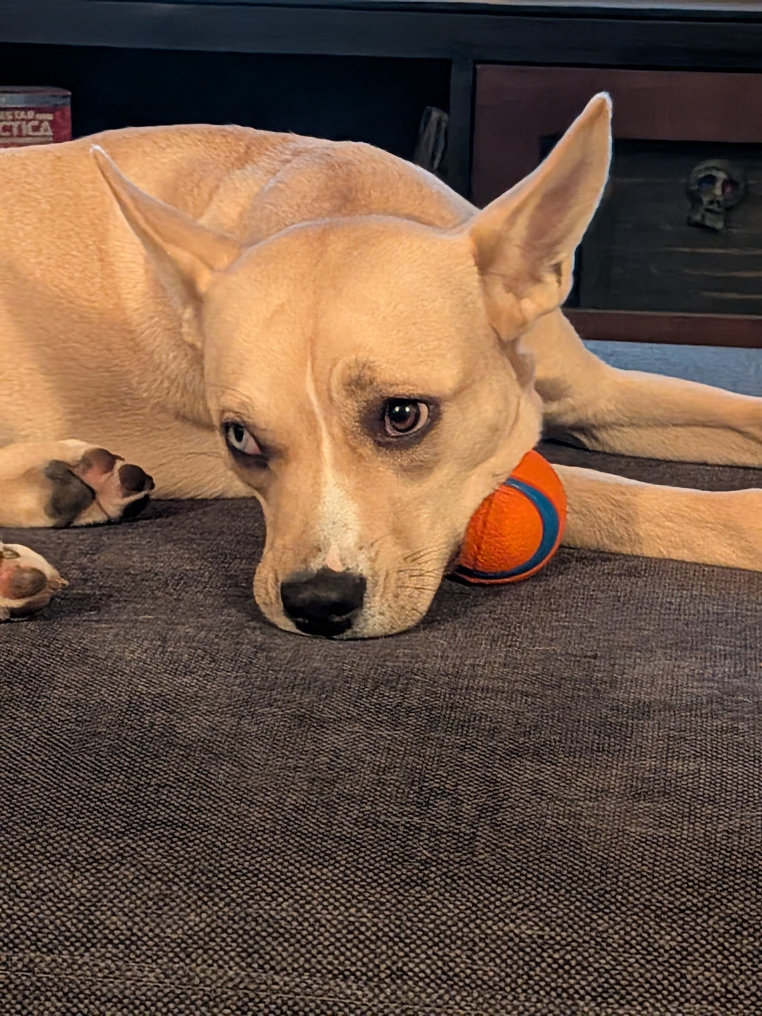 12-2025 Winter Break!? How dare you!