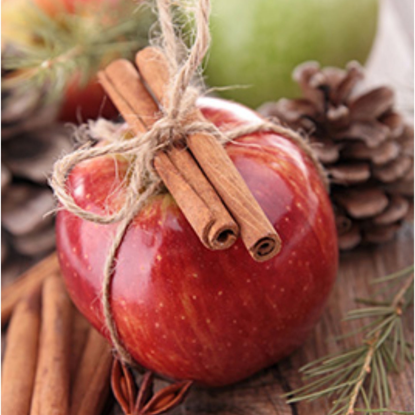 Apple Cinnamon Liquid Castile Soap (seasonal)