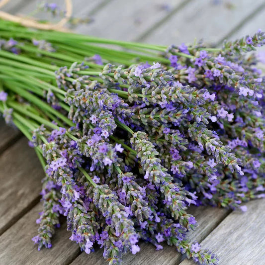 Lavender Soy Candles