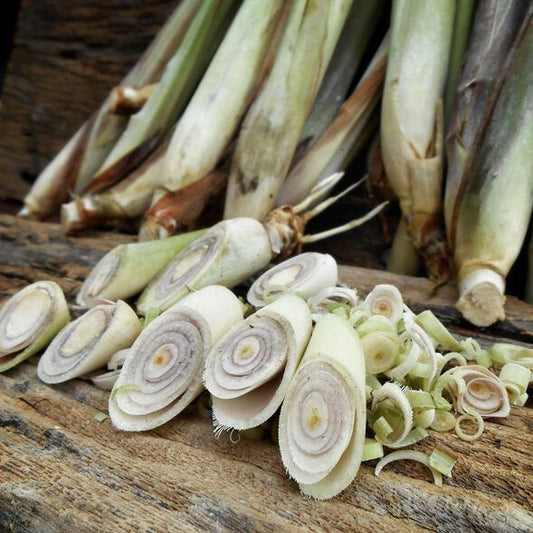 Sage & Lemongrass Liquid Castile Soap