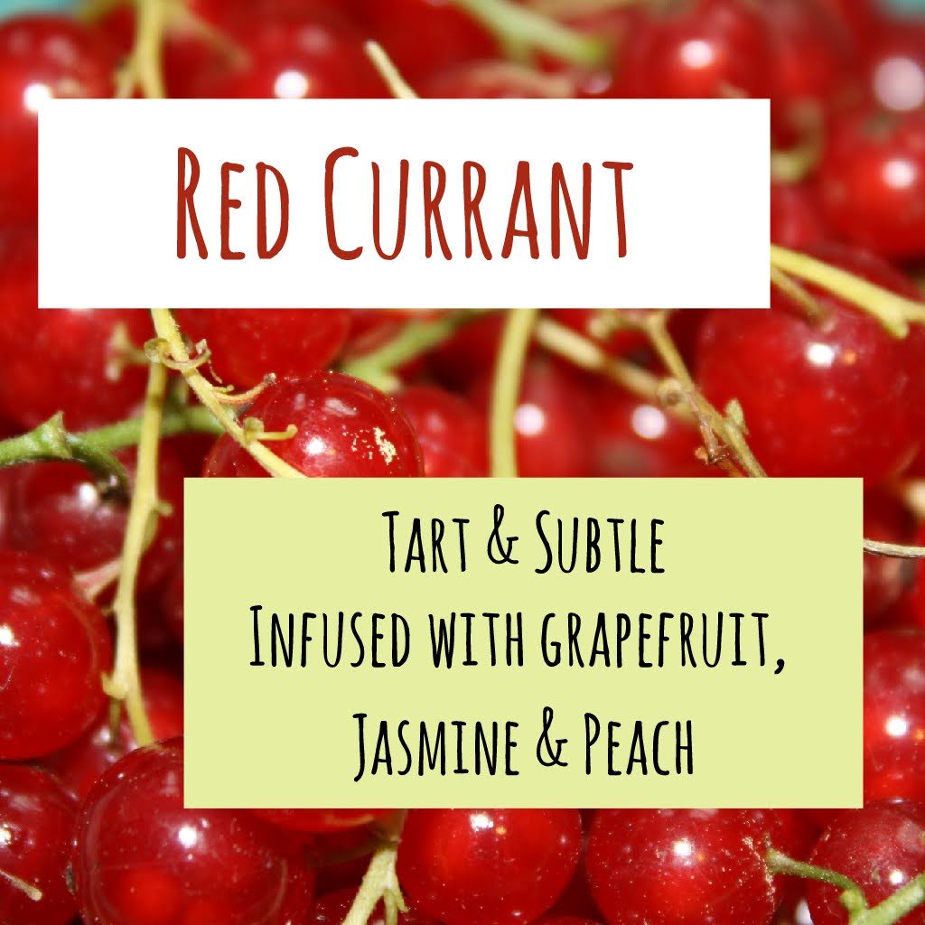 Red Currant Large Tin