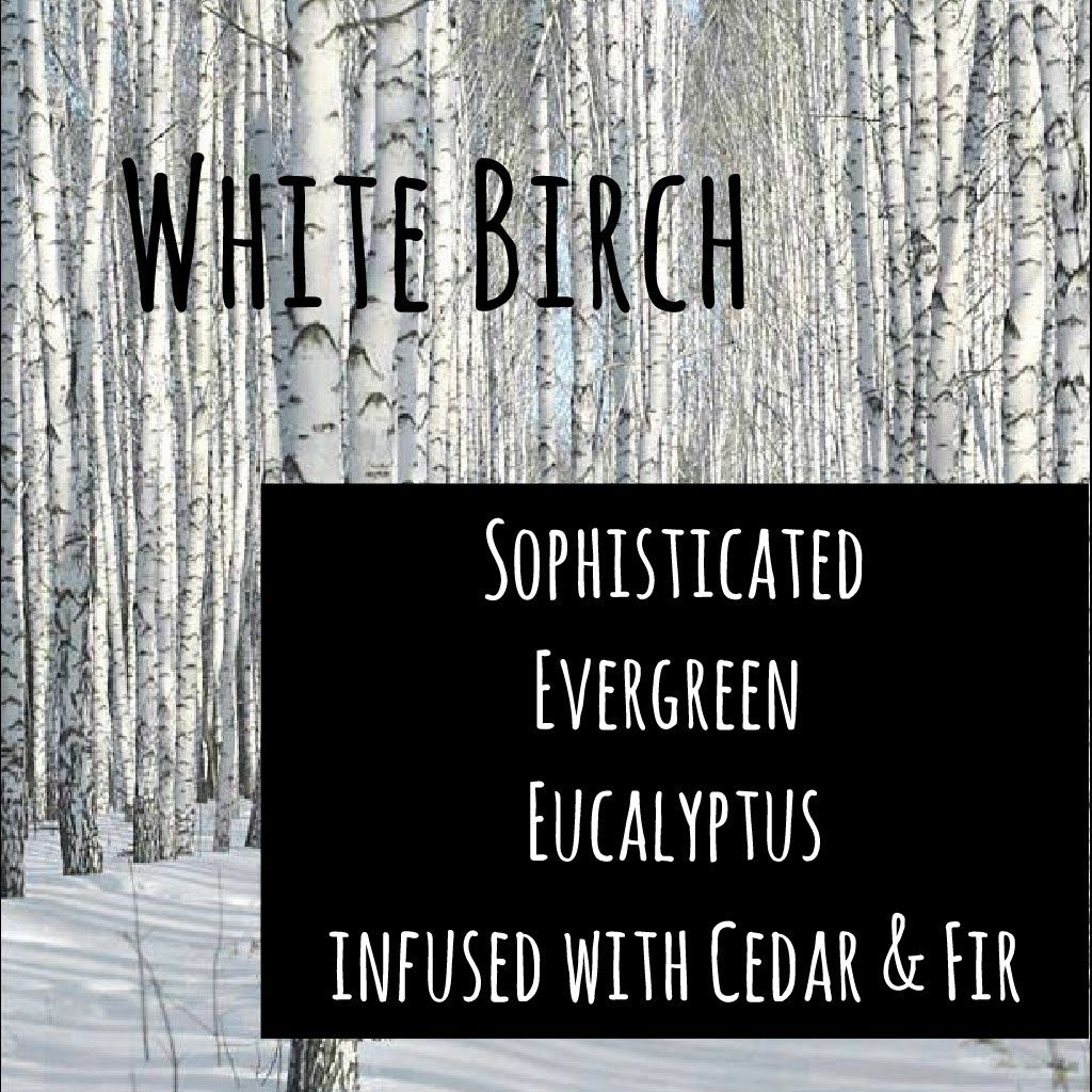 White Birch Large Tin